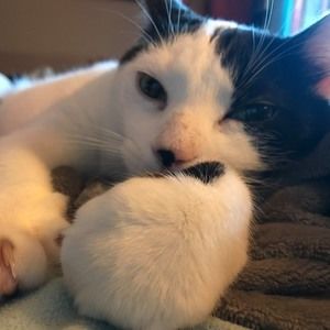 Meet your Posher, Kathleen